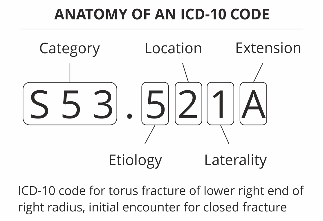 Automatic ICD 10 Code Assignment Using Deep Learning