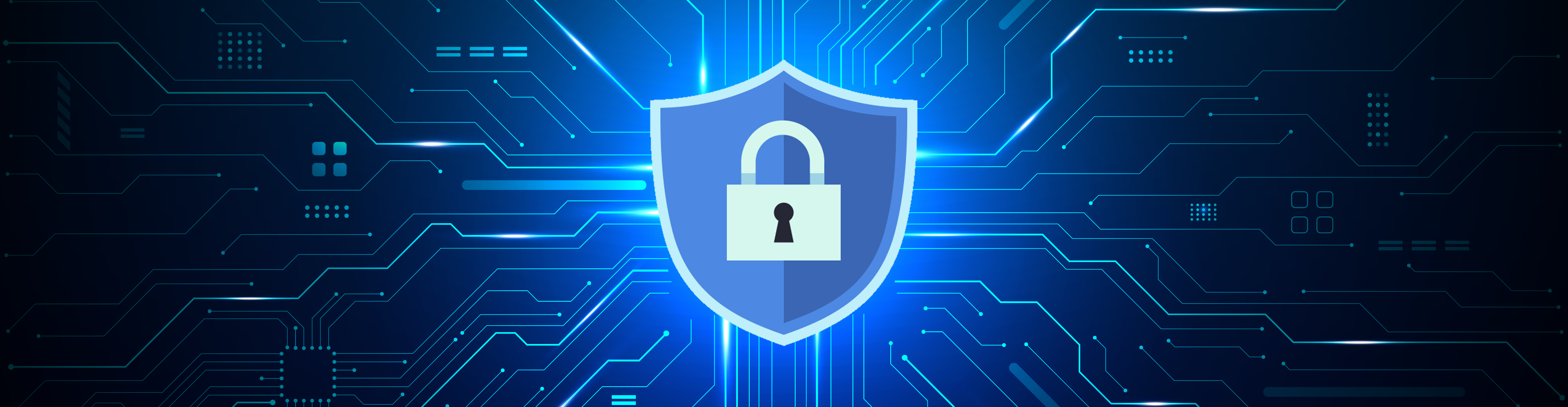In-House Security: Protecting Microservices with Fine-Grained Access Control at Halodoc